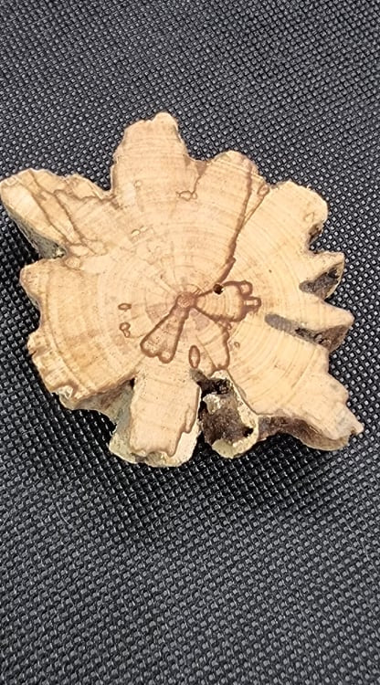 Palo Santo Altar piece